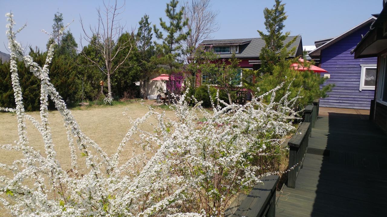 Windflower Villa Gyeongju Exterior foto